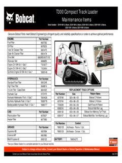 bobcat t300 skid steer loade|bobcat t300 skid steer specs.